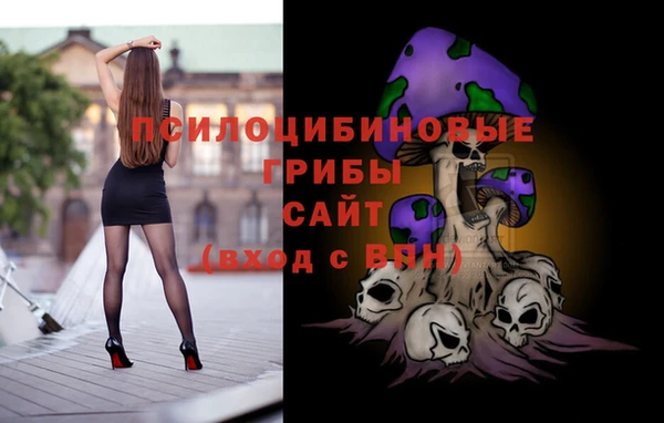 крисы Вязьма