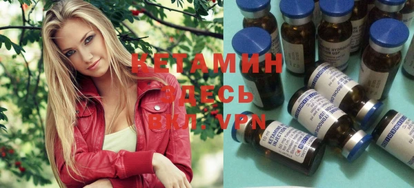 крисы Вязьма