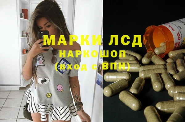 прущие крисы Вяземский