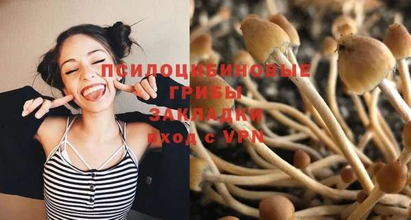 крисы Вязьма