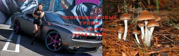 ALPHA PVP Вязники