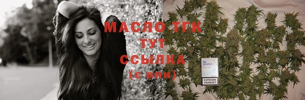 крисы Вязьма