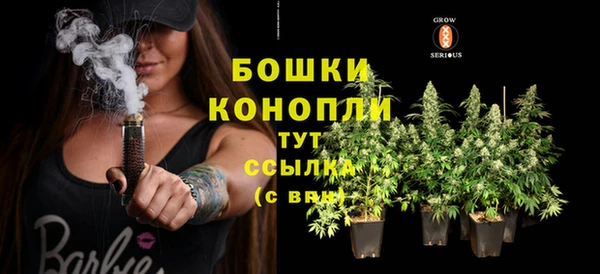 крисы Вязьма