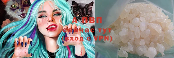 прущие крисы Вяземский